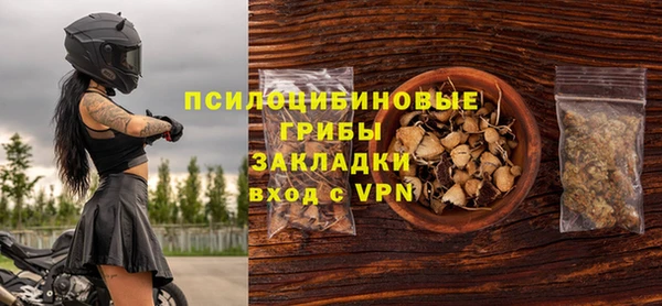 круглые Абаза