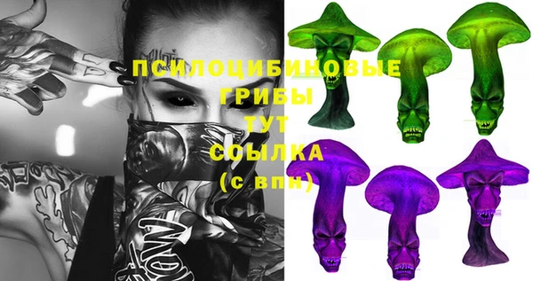 молекула духа Абинск