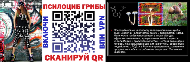 купить наркотик  Тырныауз  Галлюциногенные грибы Psilocybine cubensis 